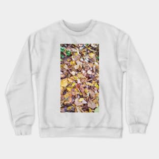 november Crewneck Sweatshirt